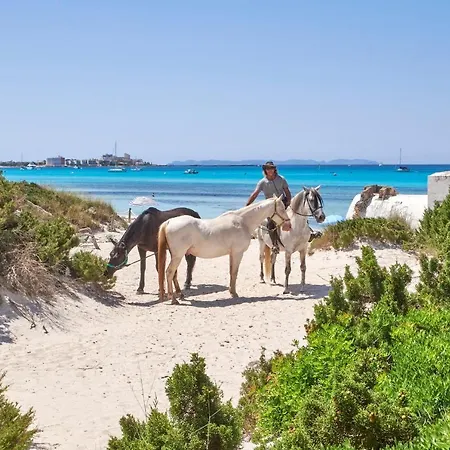 Mallorca Dream Ses Salines  Exterior photo
