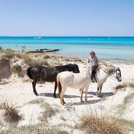 Mallorca Dream Ses Salines  Exterior photo
