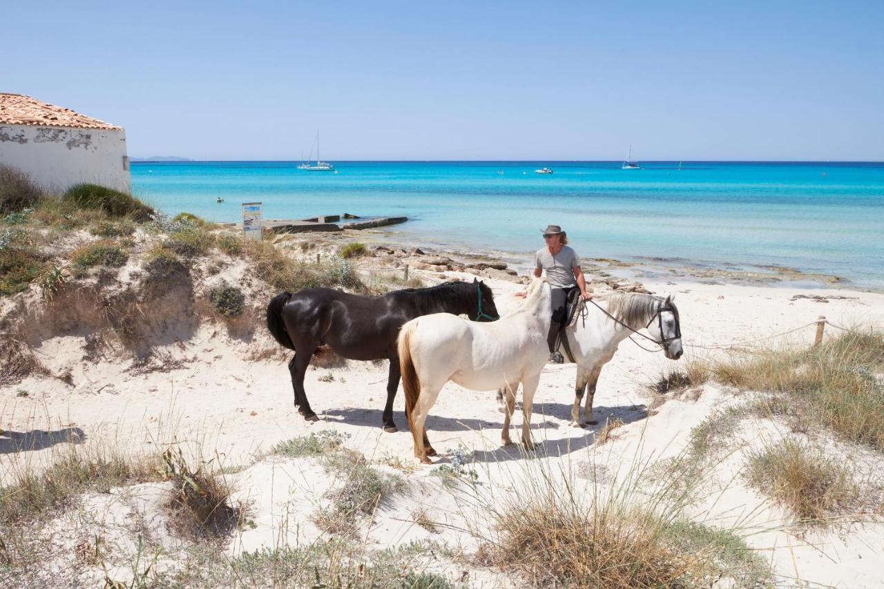 Mallorca Dream * Ses Salines (Mallorca)